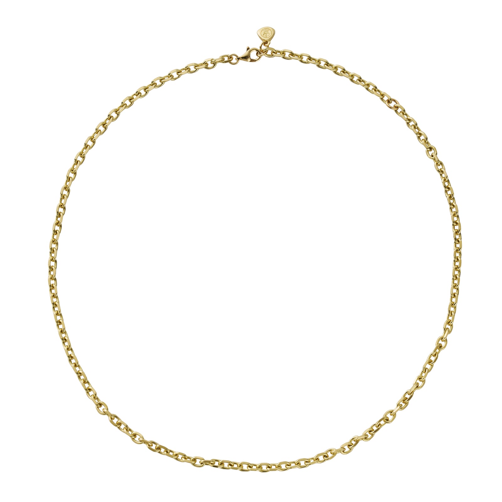 Gold Oxford Chain Gift Set