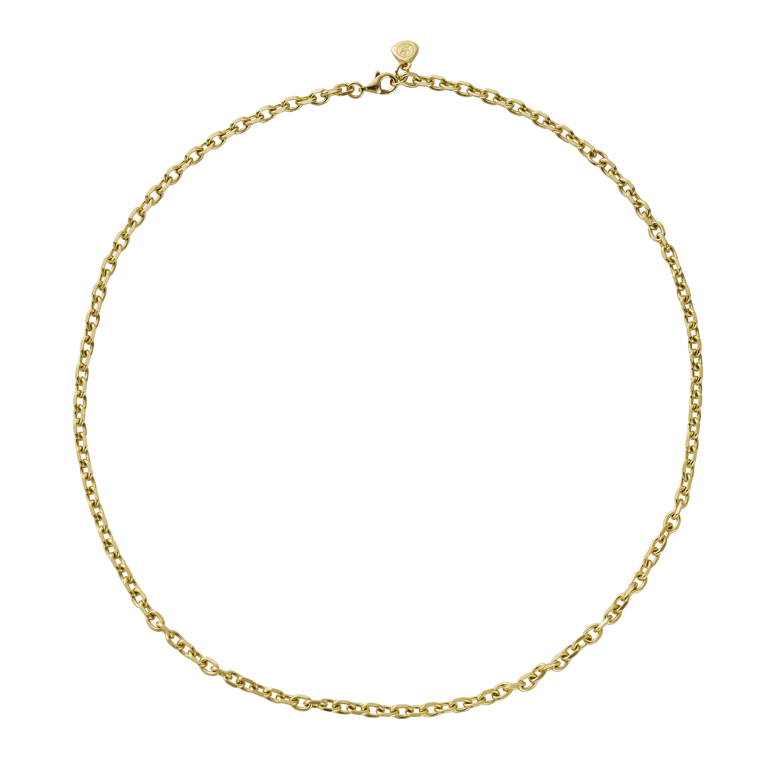 Gold Oxford Chain Gift Set