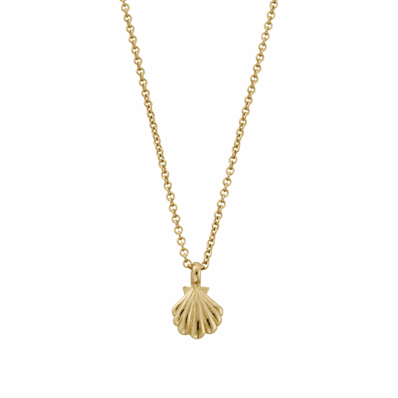 Gold Scallop Shell Necklace