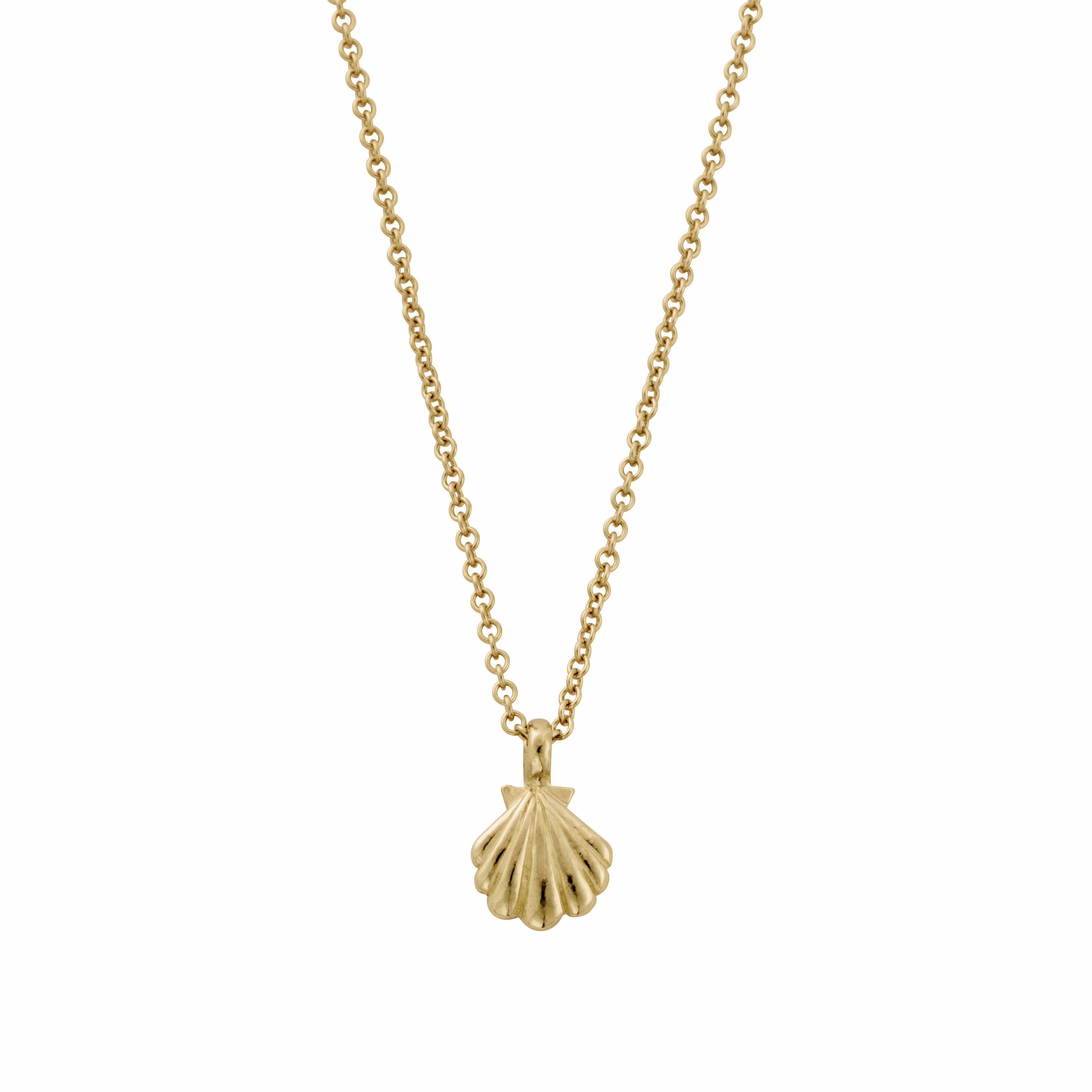 Gold Scallop Shell Necklace