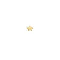 Gold Tiny Star Ear Stud