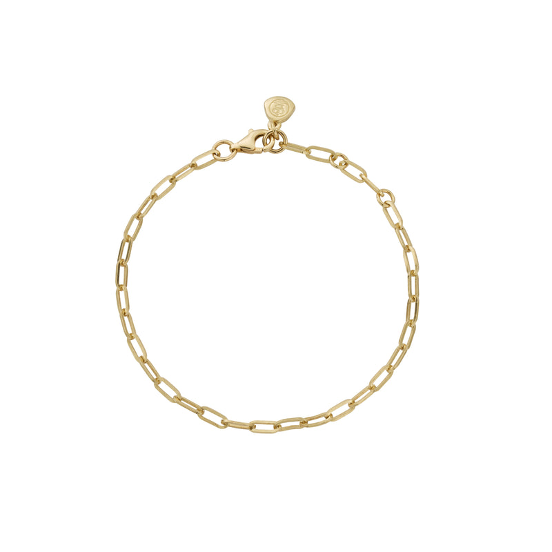 Gold Tiny Trace Chain Bracelet
