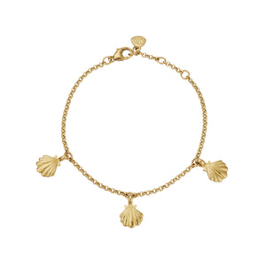 Gold Trio Scallop Shell Chain Bracelet