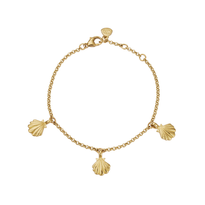 Gold Trio Scallop Shell Chain Bracelet