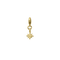 Gold Baby North Star Lobster Charm