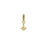 Gold Baby North Star Lobster Charm