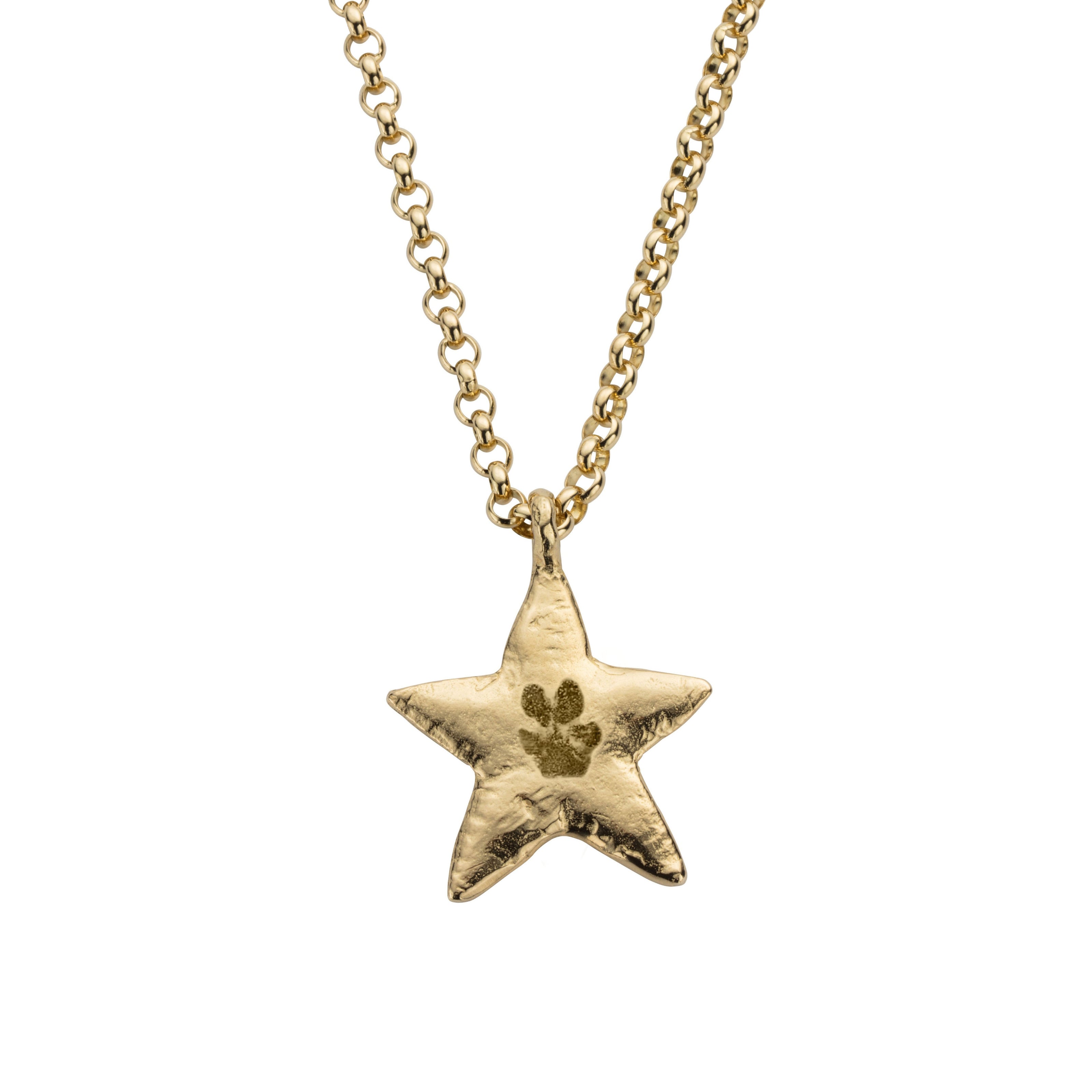 Gold Maxi Star Necklace with Paw Print