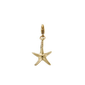 Gold Medium Starfish Lobster Charm