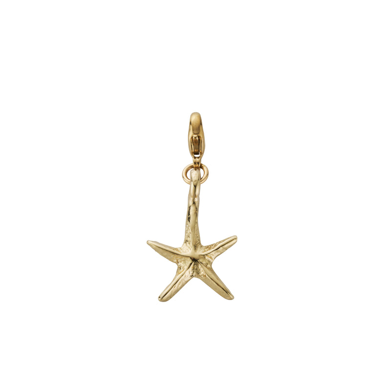 Gold Medium Starfish Lobster Charm