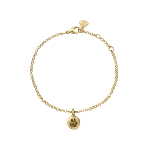 Gold Mini Disc Chain Bracelet with Paw Print