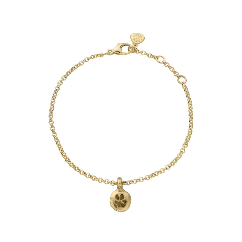 Gold Mini Disc Chain Bracelet with Paw Print