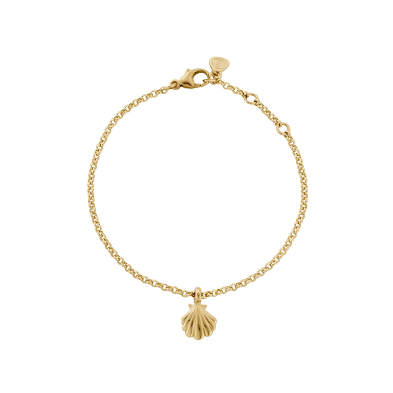 Gold Scallop Shell Chain Bracelet