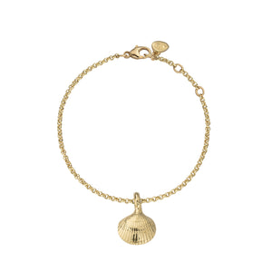 Gold Mini Shell Chain Bracelet