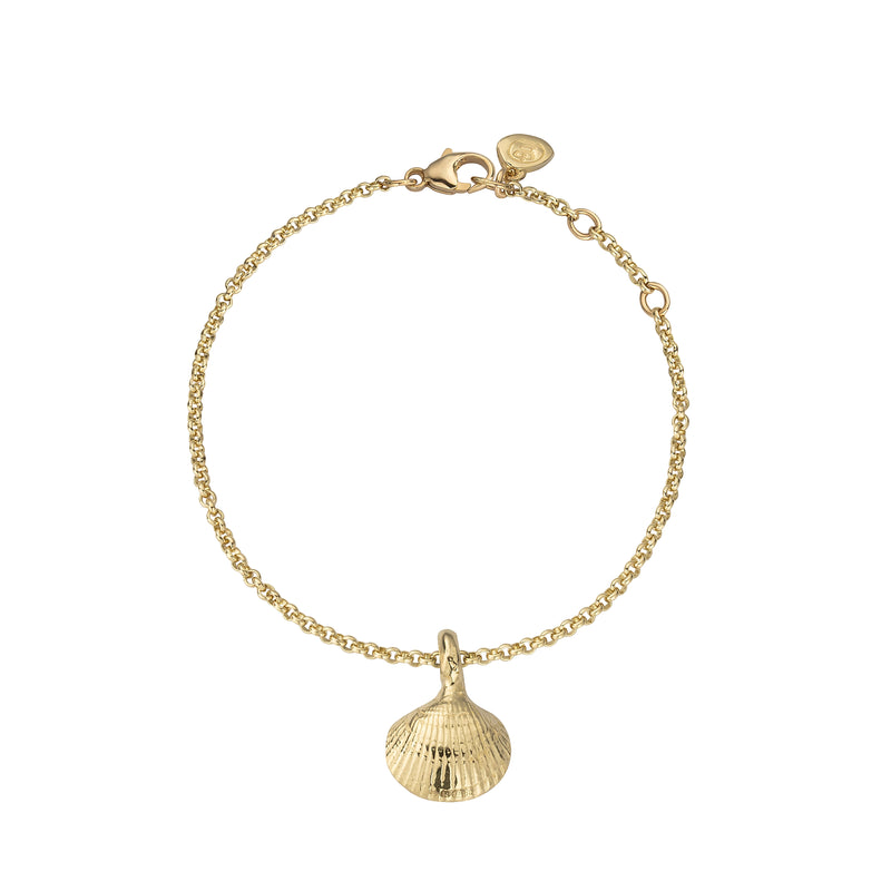 Gold Mini Shell Chain Bracelet