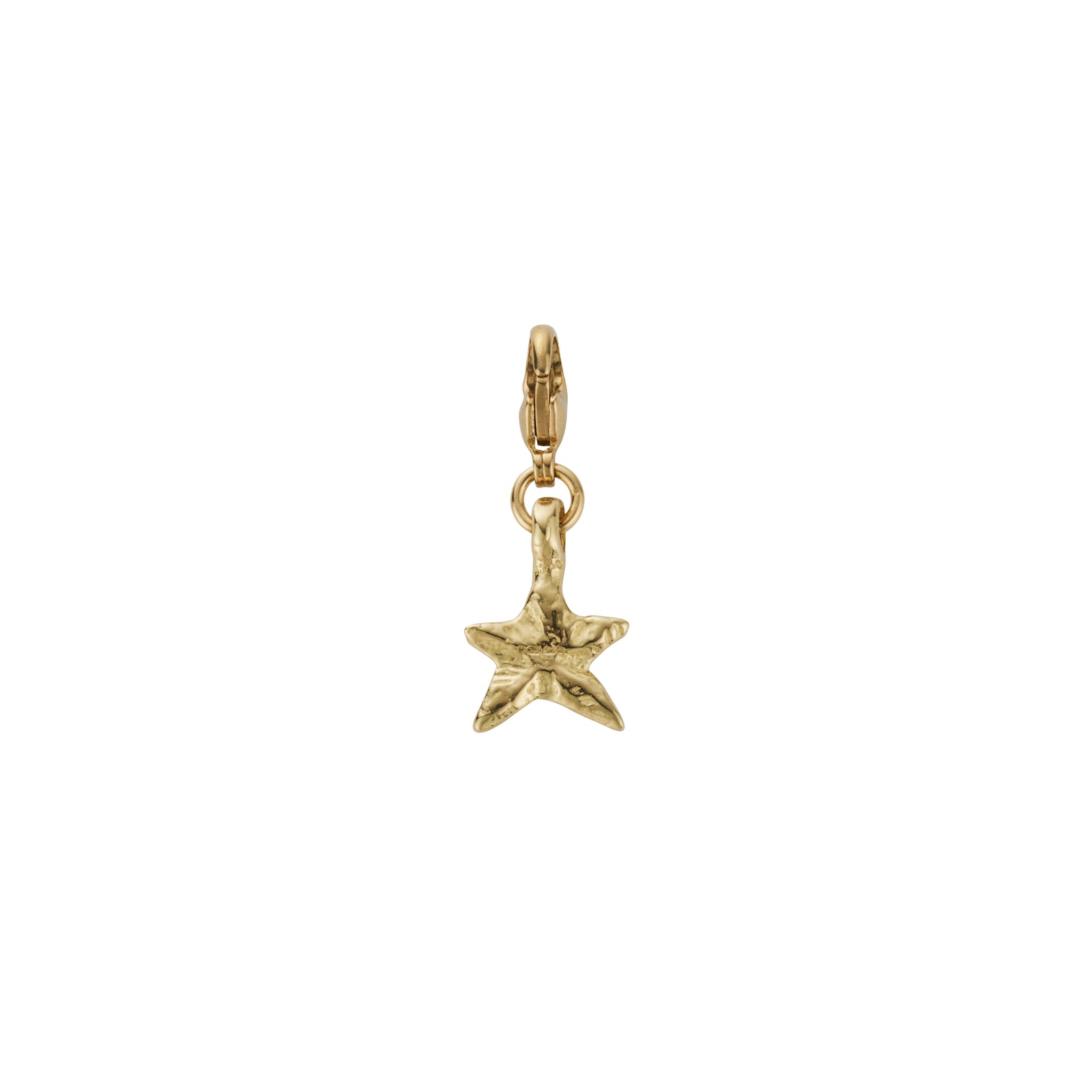 Gold Mini Star Lobster Charm