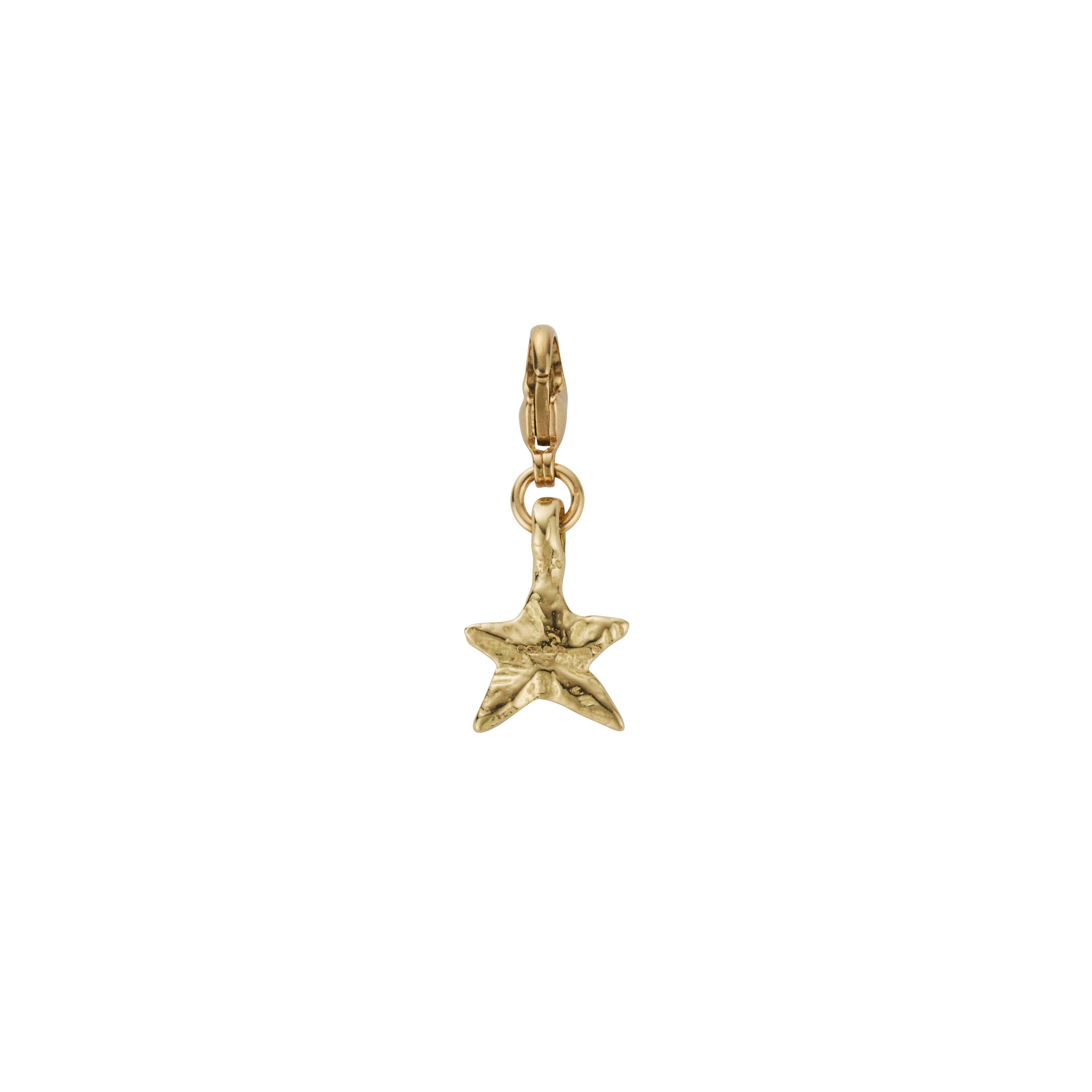 Gold Mini Star Lobster Charm