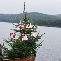 DD x True Grace Classic Christmas Reed Diffuser