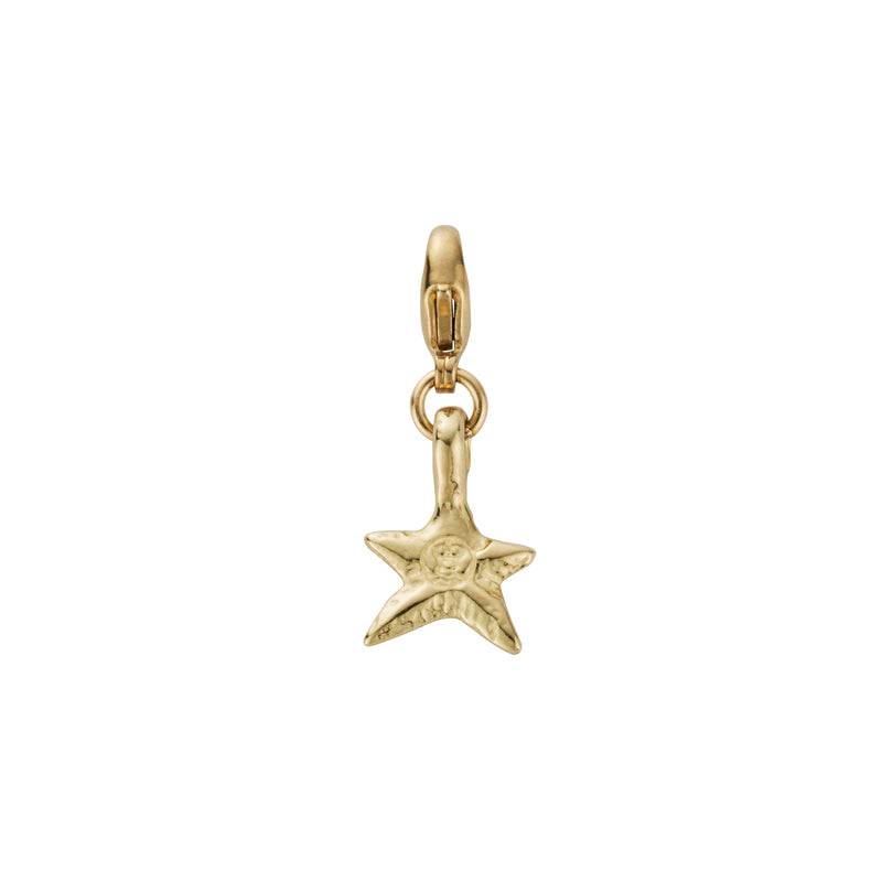 Gold Mini Star Lobster Charm