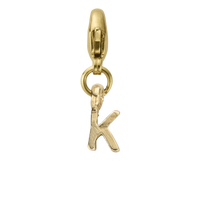 Gold Mini Alphabet Lobster Charm