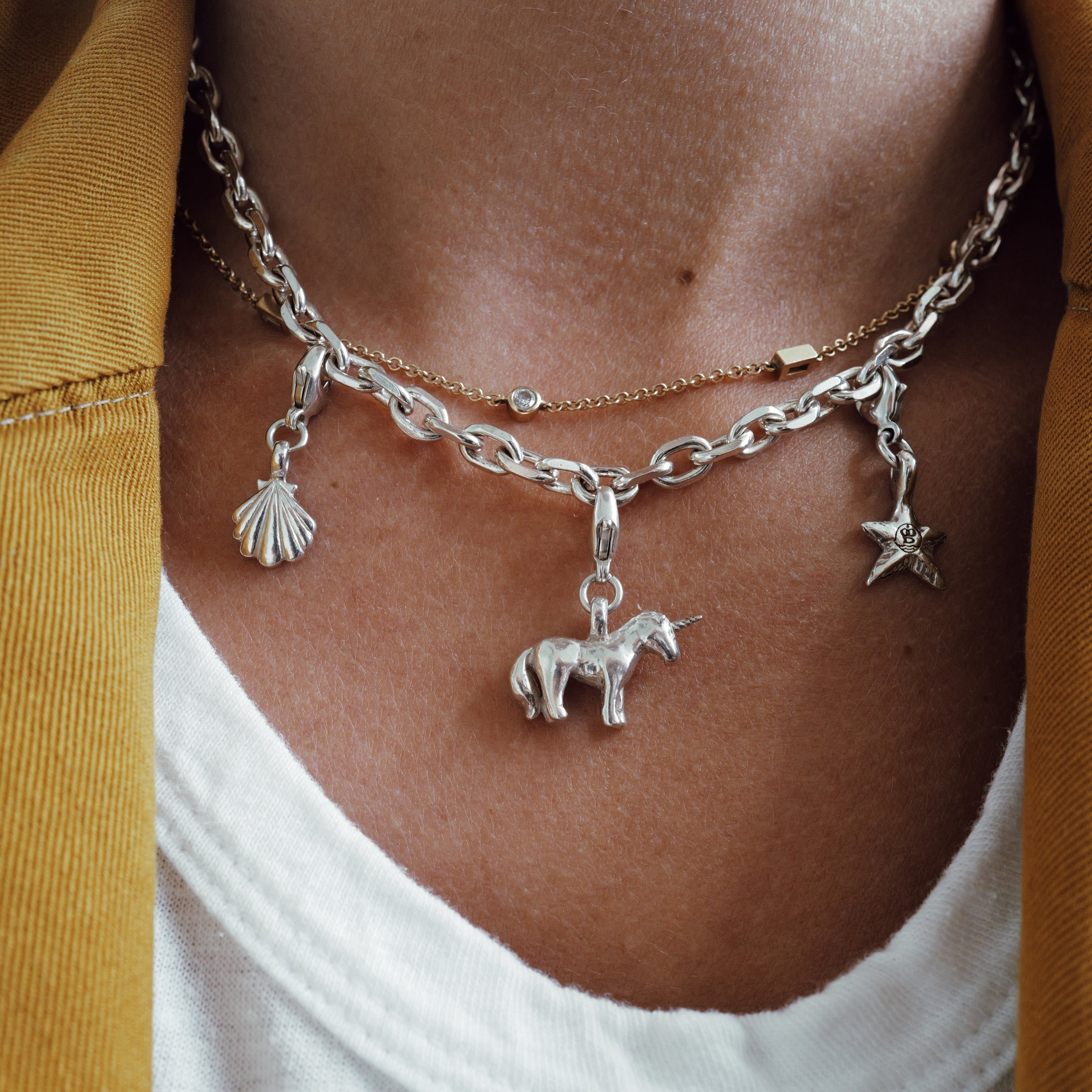 Silver Collector's Chain