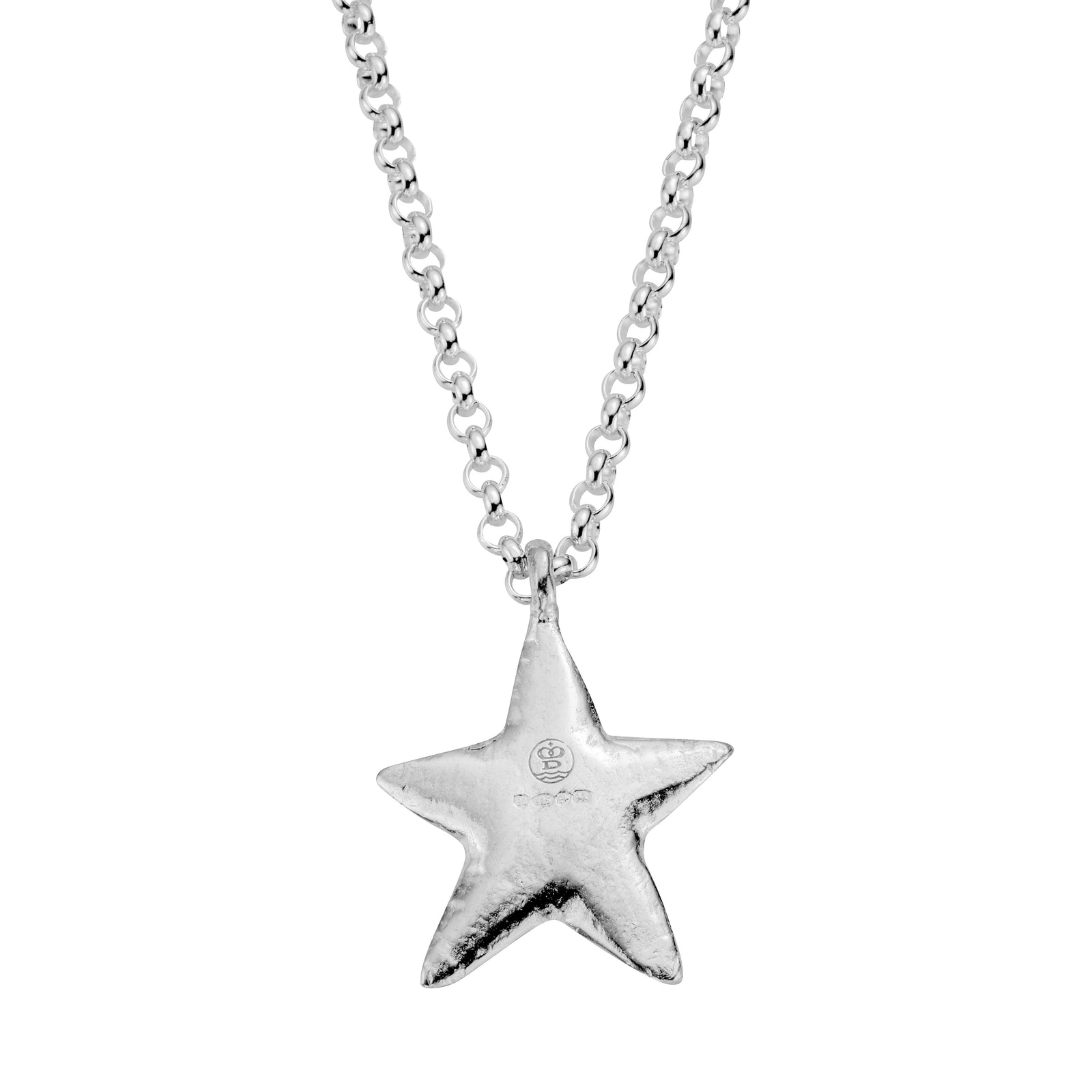 Silver Maxi Star Necklace with Paw Print