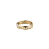 Men's 9ct Gold Midi Posey Ring
