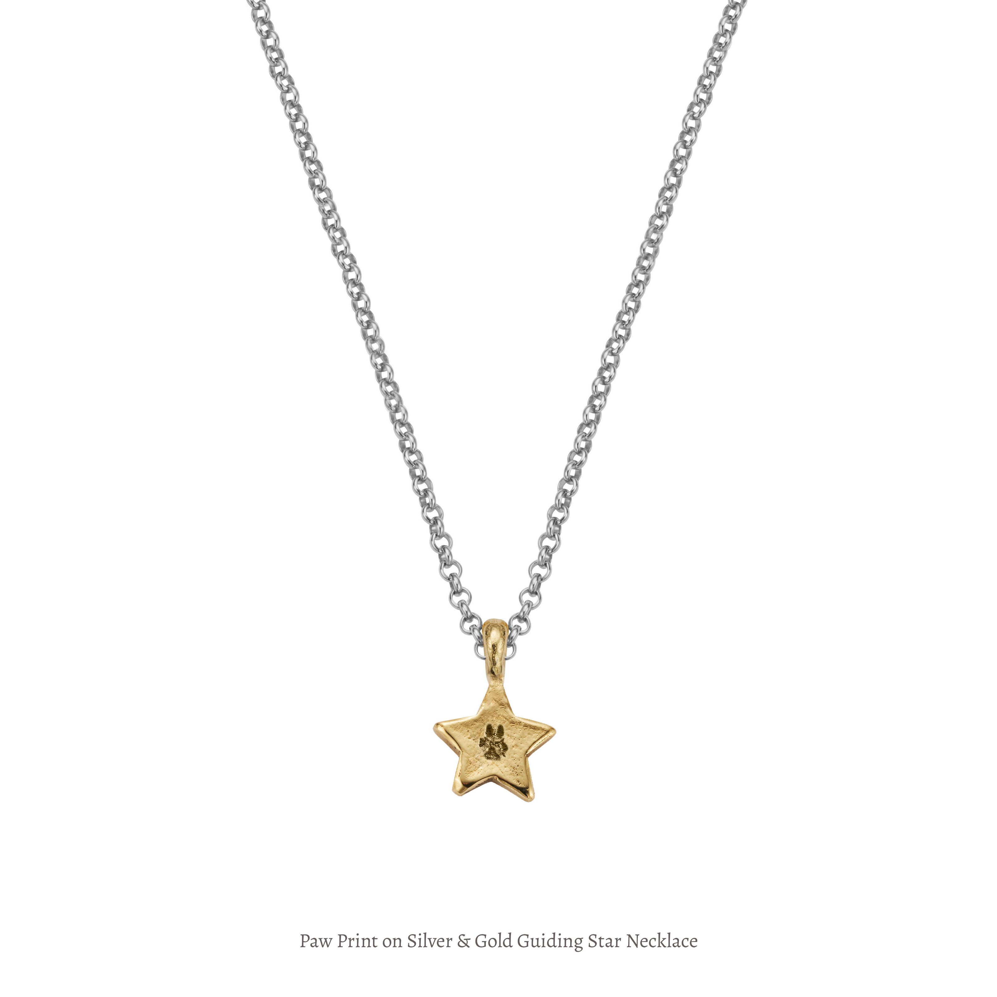Silver & Gold Guiding Star Necklace