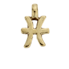 Gold Horoscope & Birthstone Charm