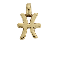 Gold Horoscope & Birthstone Charm