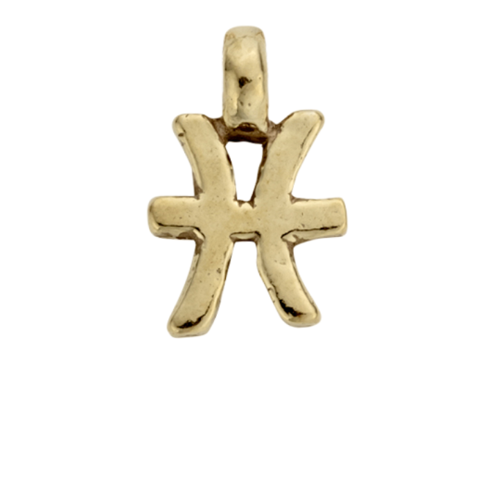 Gold Horoscope & Birthstone Charm