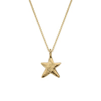 Gold Midi Star Necklace