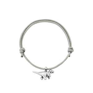 Silver Dinosaur Sailing Rope