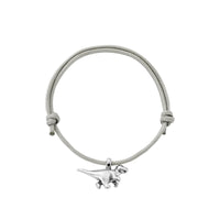 Silver Dinosaur Sailing Rope