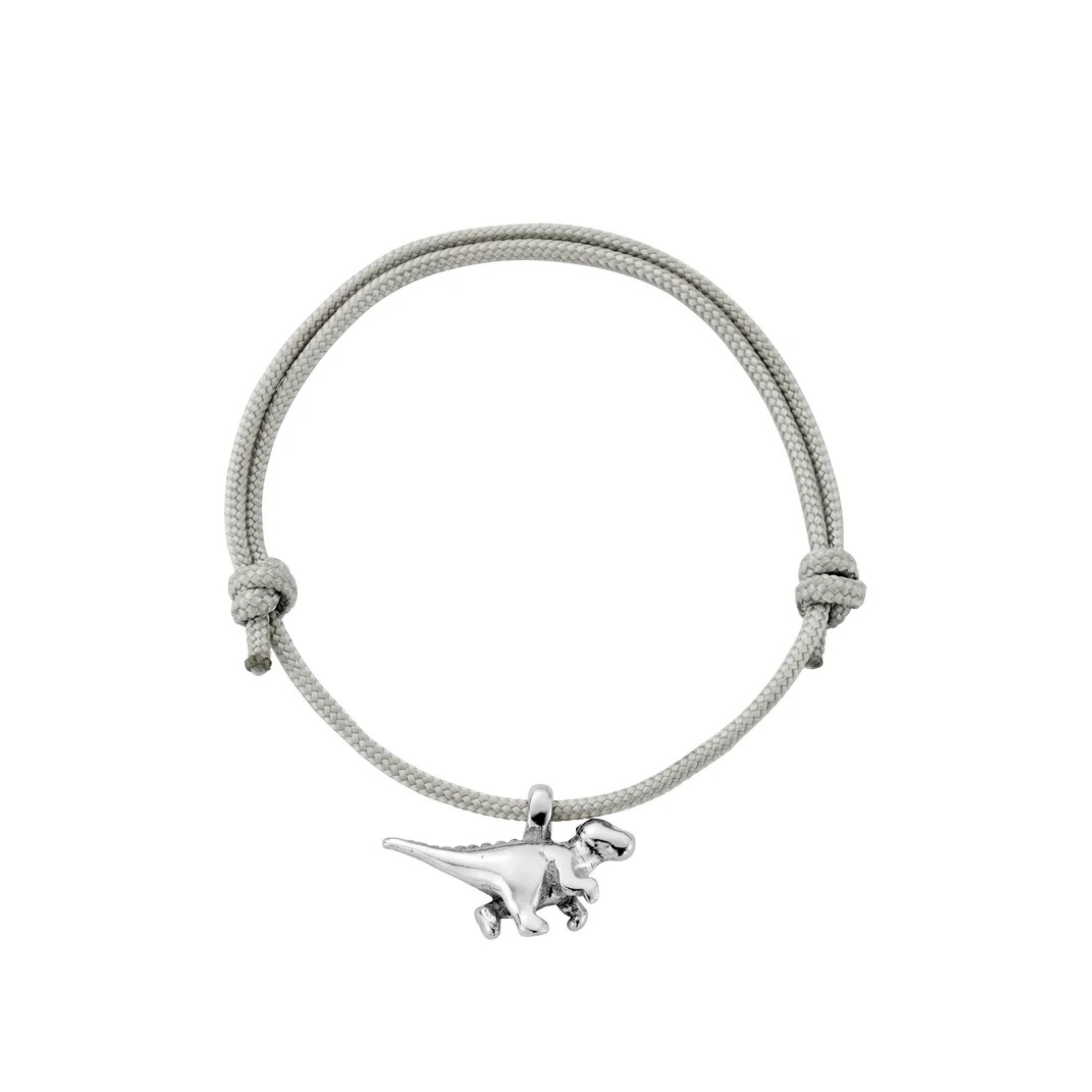 Silver Dinosaur Sailing Rope