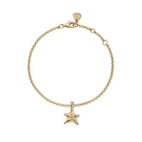 Gold Mini Star Gift Set