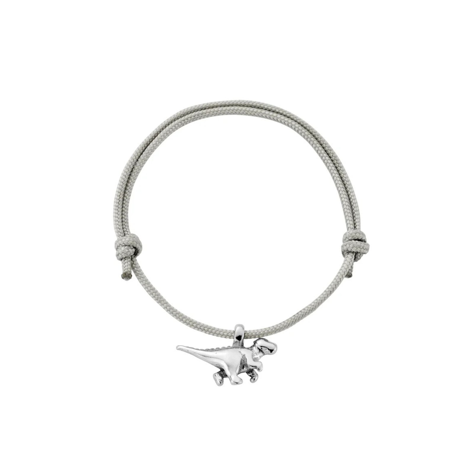 Silver Dinosaur Sailing Rope