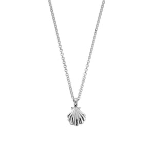 Silver Scallop Shell Necklace