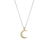 Silver & Gold Medium Crescent Moon Necklace