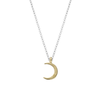 Silver & Gold Medium Crescent Moon Necklace
