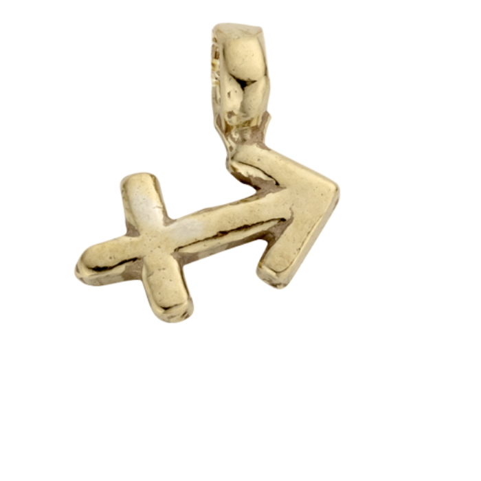 Gold Horoscope & Birthstone Charm