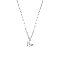 Silver Capricorn Men's Horoscope Necklace