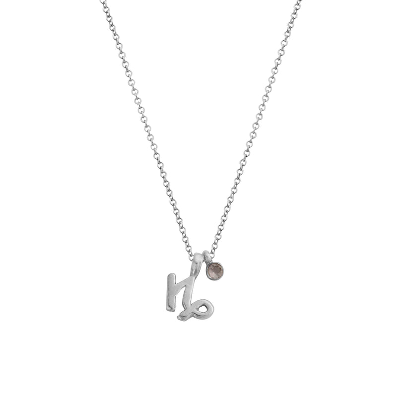 Silver Mini Capricorn Horoscope & Rose Quartz Birthstone Necklace