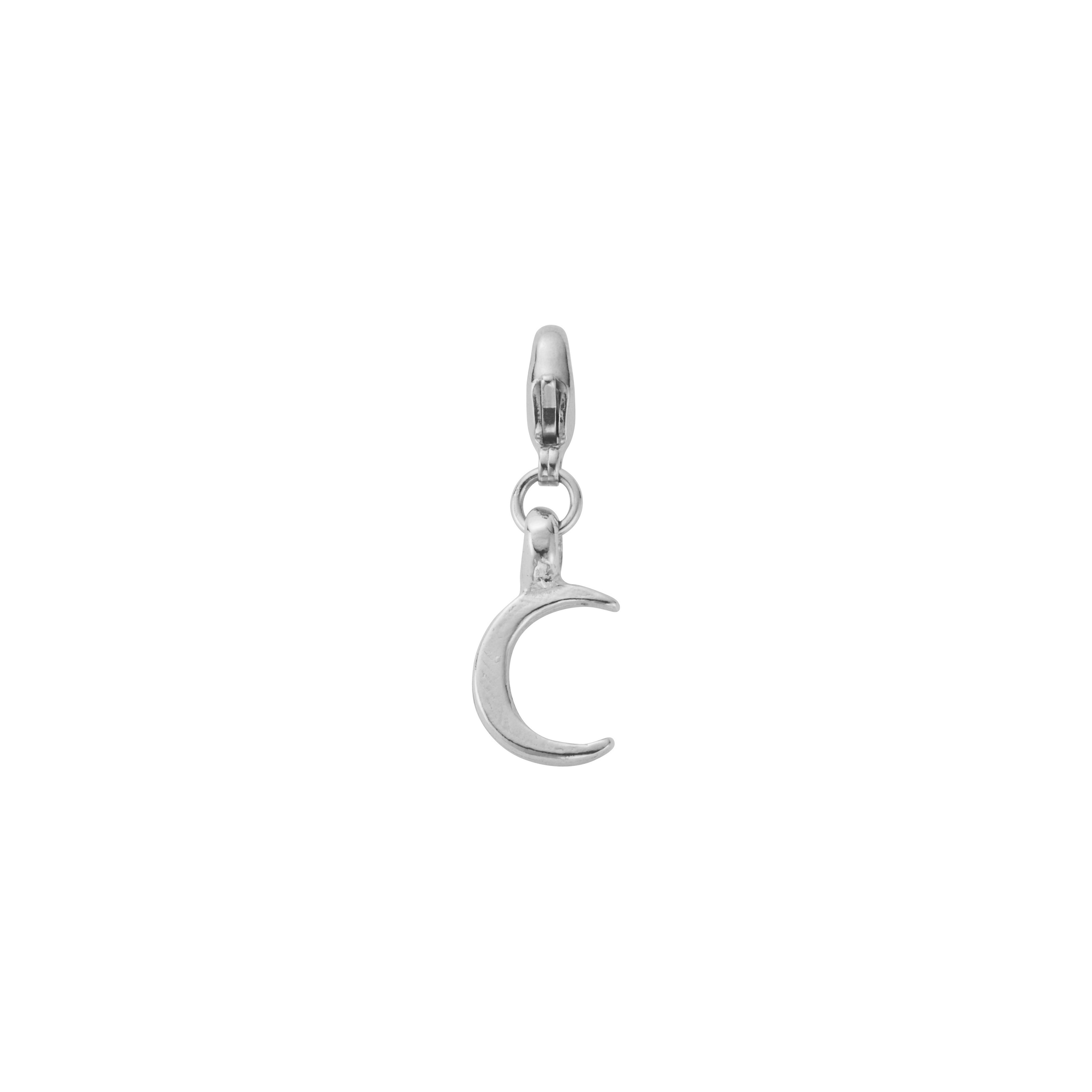 Silver Lobster Charms