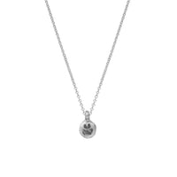 Silver Mini Disc Necklace with Paw Print