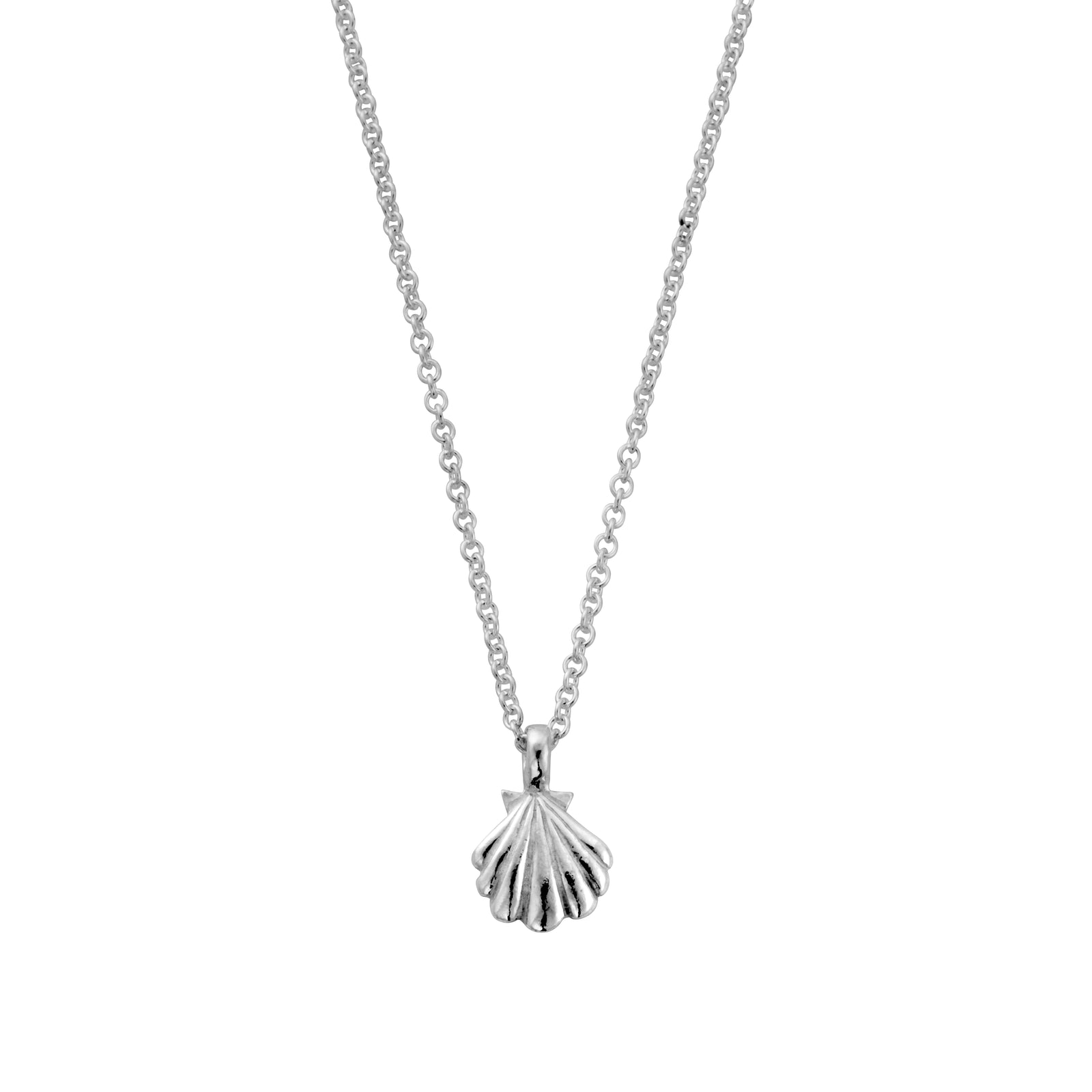 Silver Scallop Shell Necklace