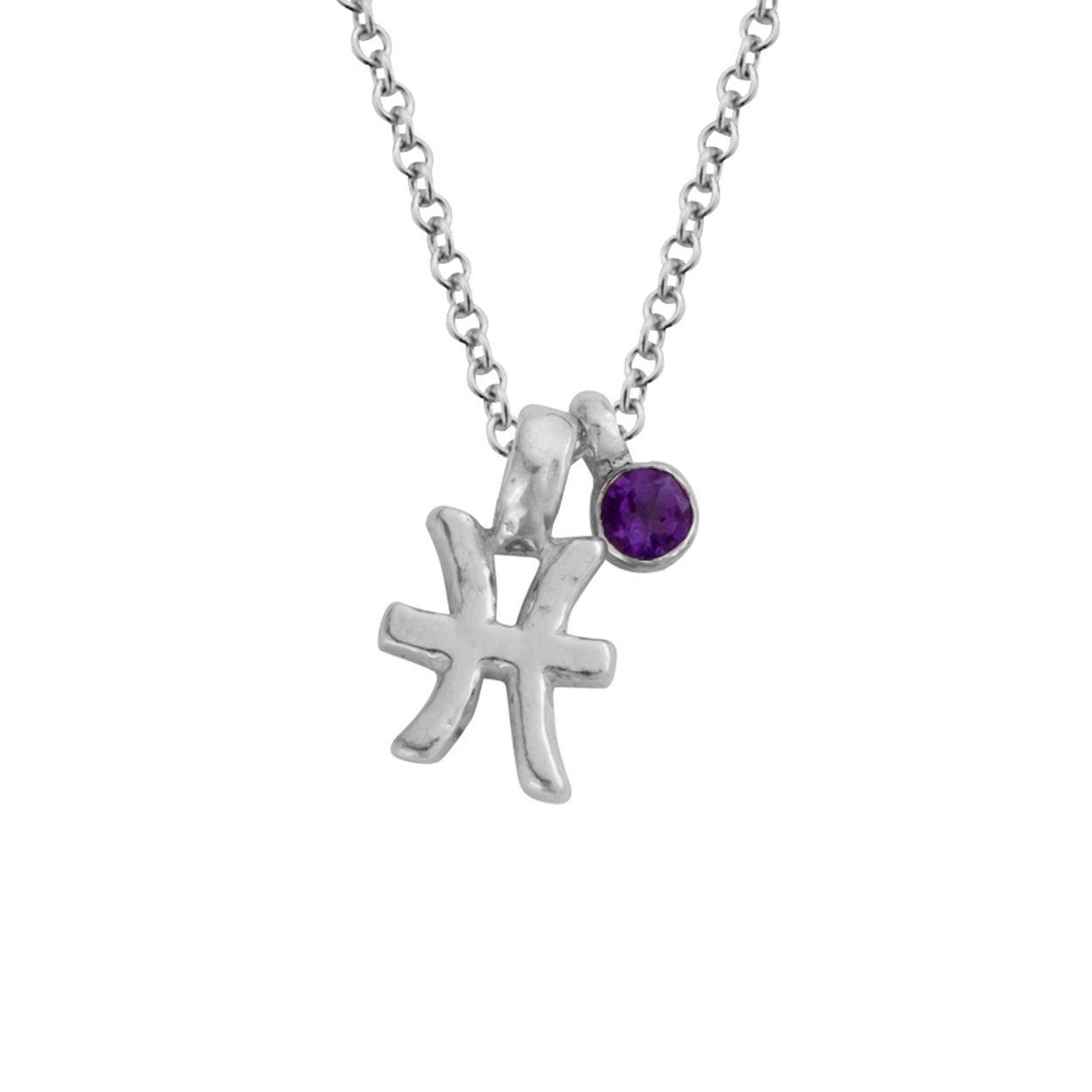 Silver Mini Pisces Horoscope & Amethyst Birthstone Necklace