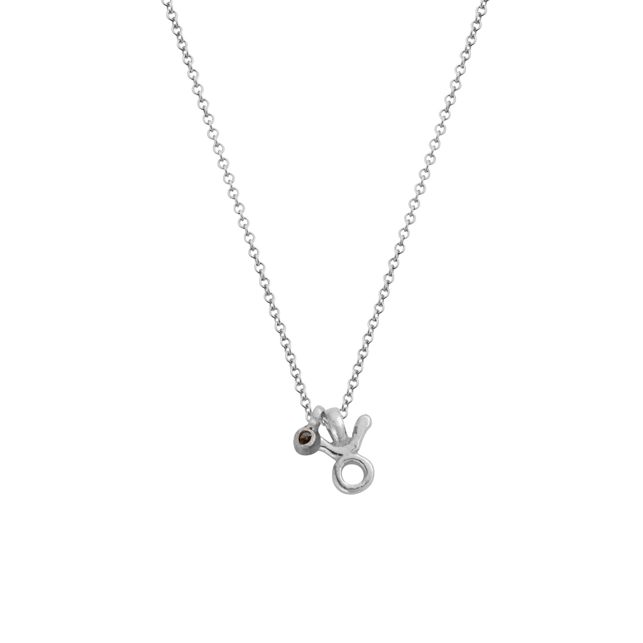 Silver Mini Taurus Horoscope & Diamond Birthstone Necklace