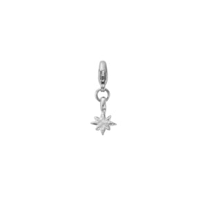 Silver Baby North Star Lobster Charm