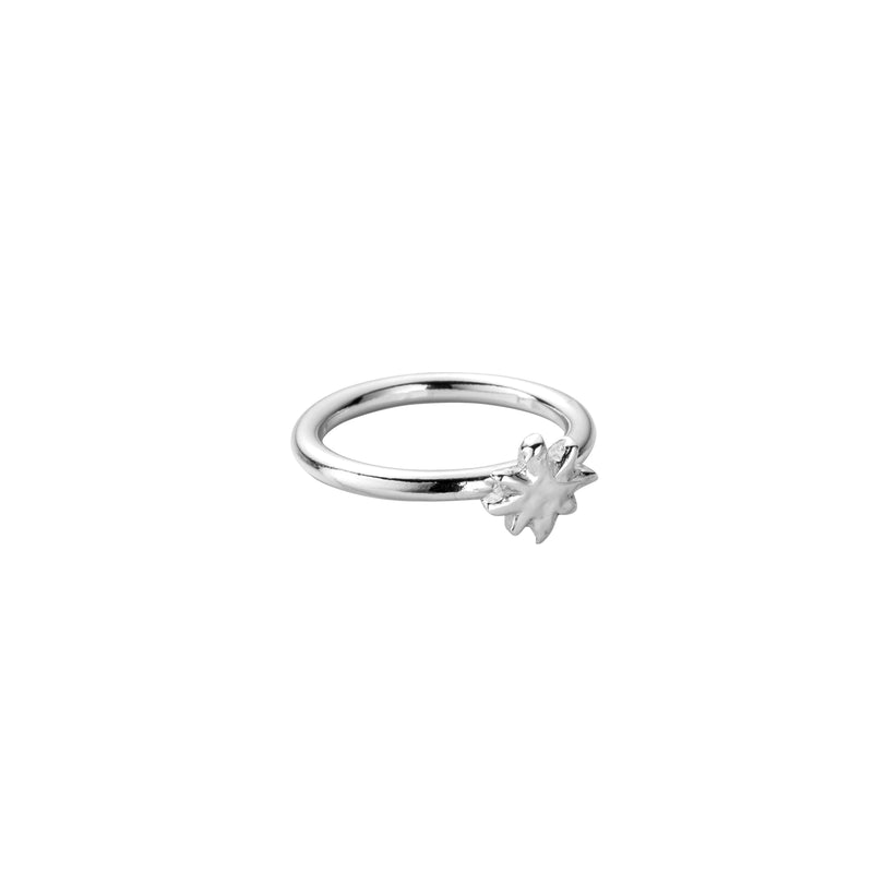 Silver Baby North Star Love Struck Ring