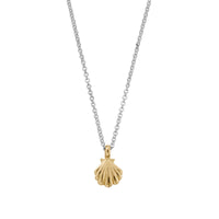 Silver & Gold Scallop Shell Necklace